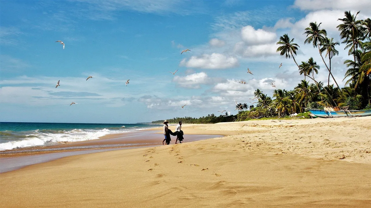 Best Time to Visit Sri Lanka: Discover the Island's Seasons